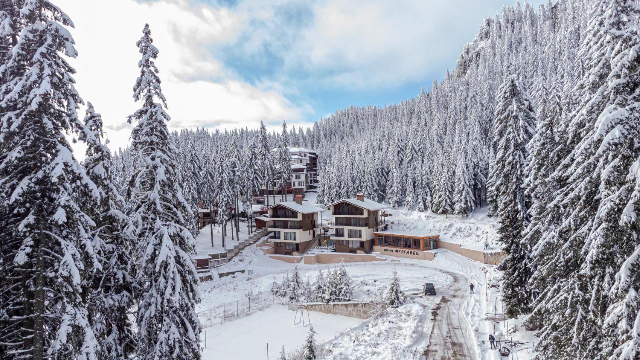 Boutique Villas Murgavets Пампорово Экстерьер фото